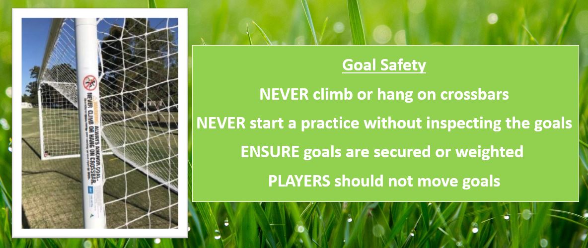 Goal safety